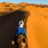 ヨーロッパ横断旅行記77　サハラ砂漠のラクダツアーに参加することにする